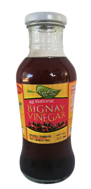 Cagayan - Bignay Vinegar By Gadu Ric